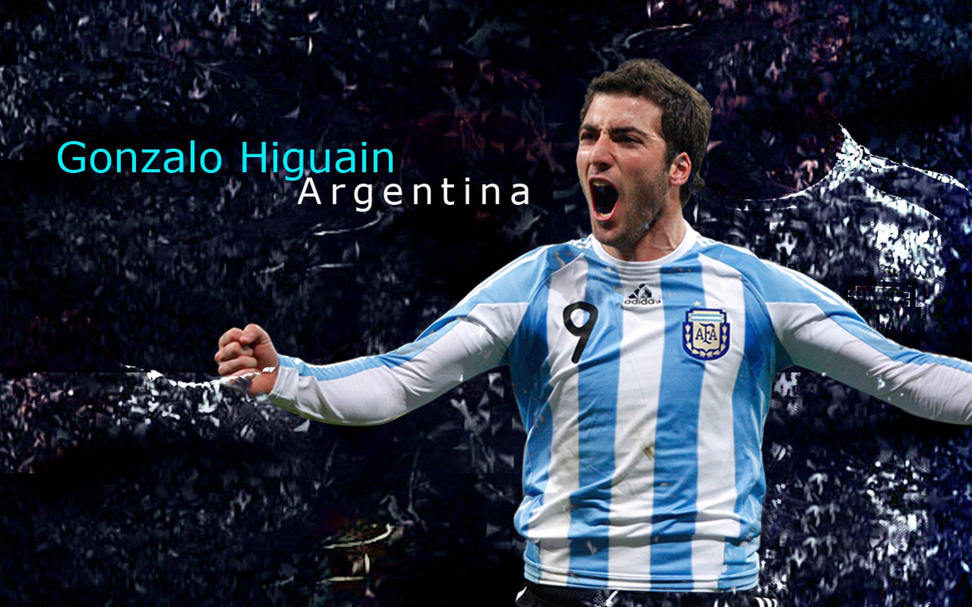 各类体育联赛影响力不断扩大