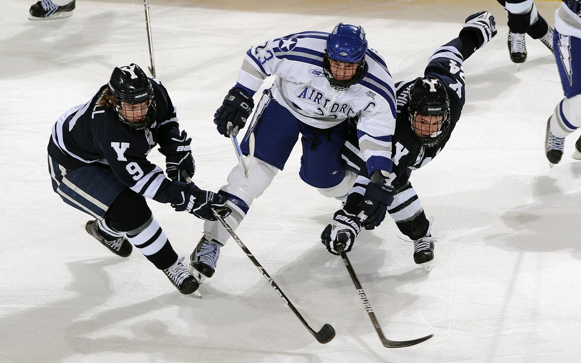 球迷组织发起大型助威活动